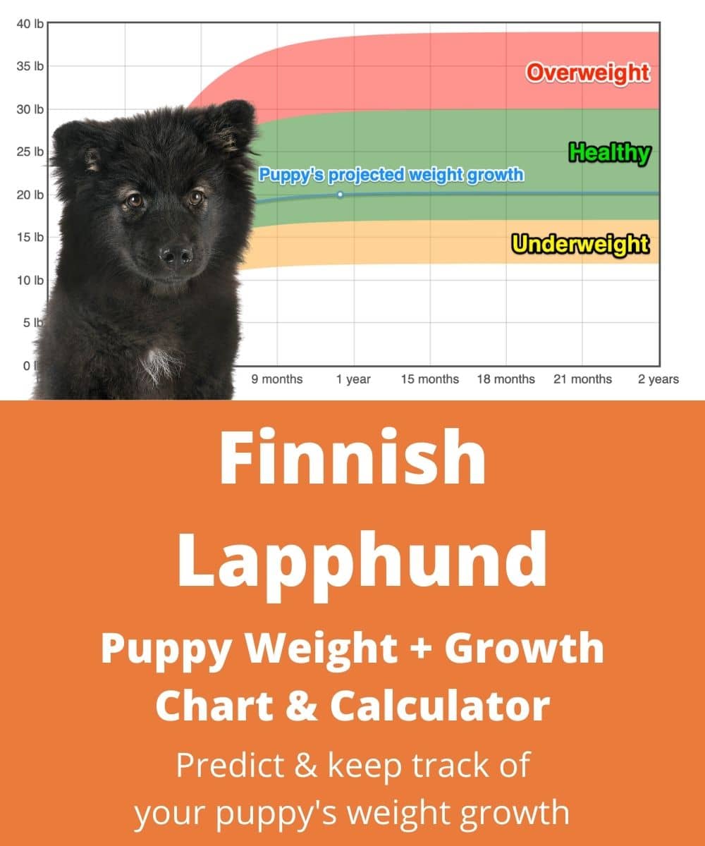 finnish-lapphund Puppy Weight Growth Chart